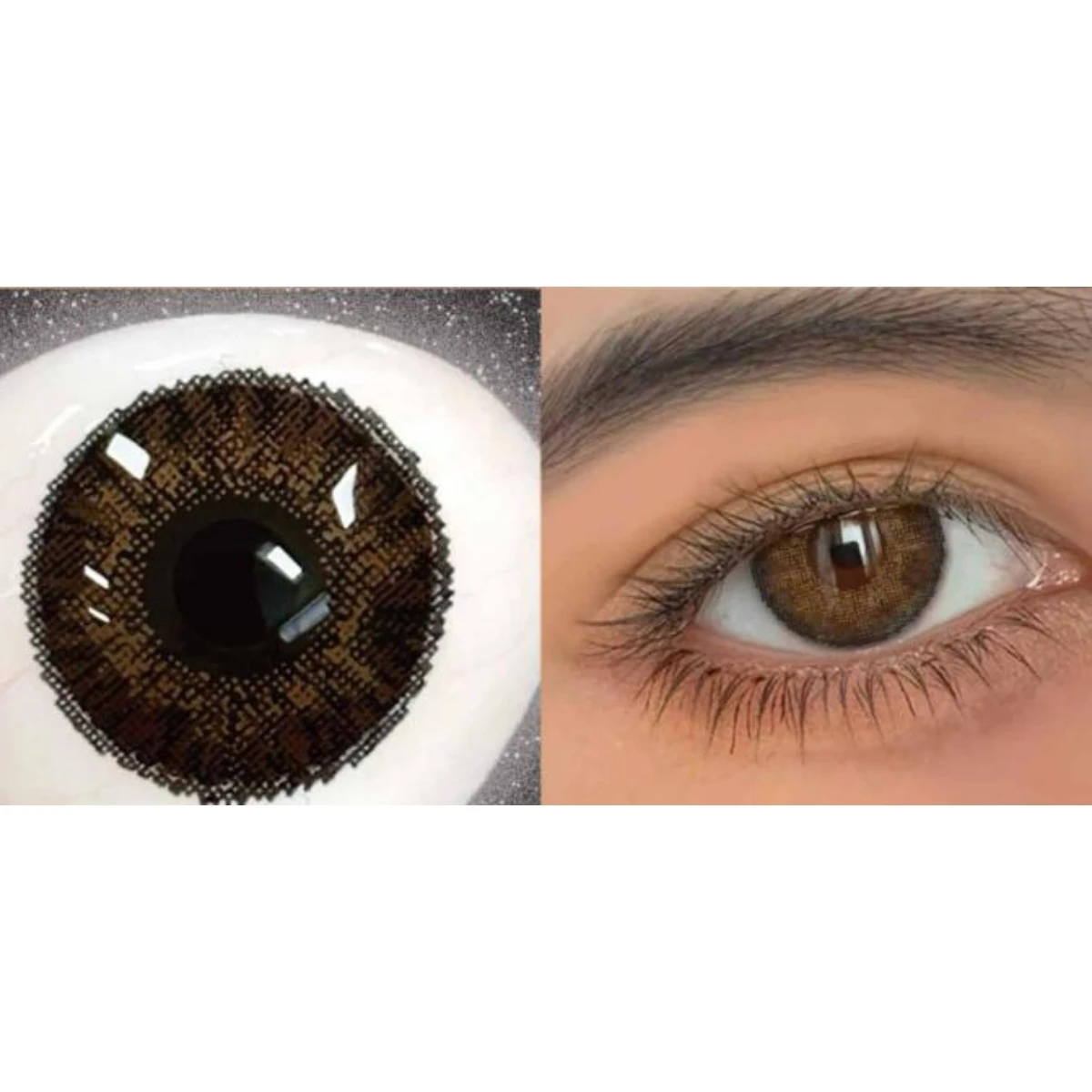 Fresh look Royal brown